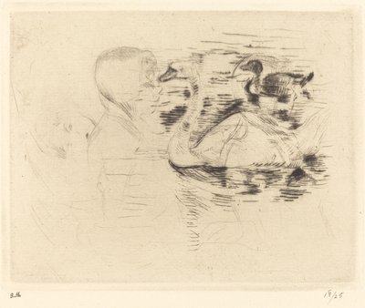 よどんだ水の白鳥 作： Berthe Morisot