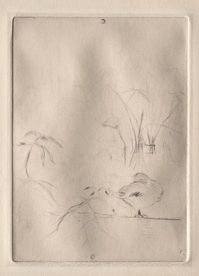 あひる 作： Berthe Morisot