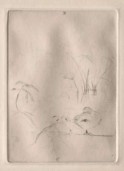アヒル 作： Berthe Morisot