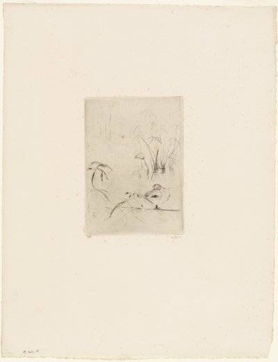 ザ・ダック 作： Berthe Morisot