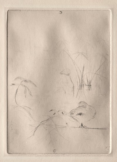 ダック、1888-90。 作： Berthe Morisot