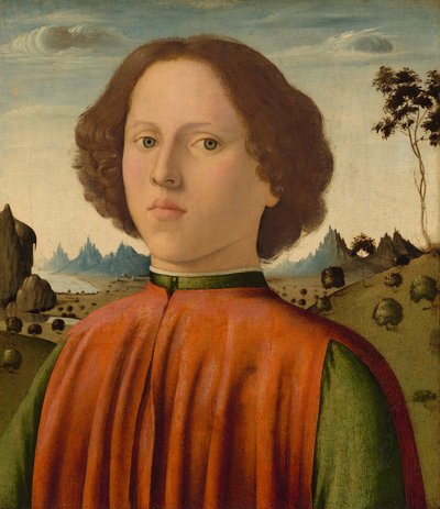少年の肖像、c。 14761480。 作： Biagio d