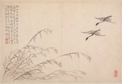 書道と絵画のアルバム、18世紀。 作： Bian Shoumin