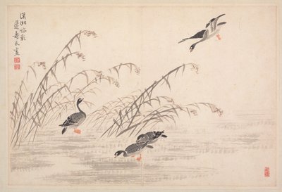 書道と絵画のアルバム、18世紀。 作： Bian Shoumin