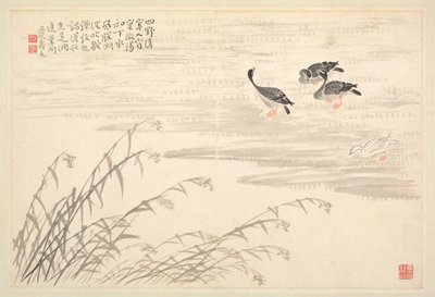 書道と絵画のアルバム、18世紀。 作： Bian Shoumin