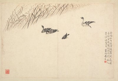 書道と絵画のアルバム、18世紀。 作： Bian Shoumin