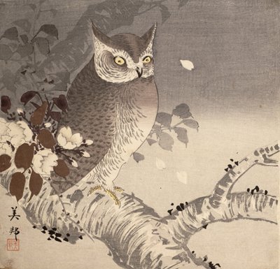 木の枝にフクロウ 作： Biho Takashi or Takahashi (b. 1873. fl 1890 1930)