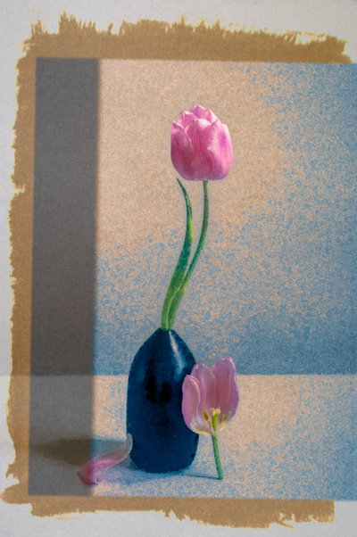 ピンクのチューリップの静物画 作： 