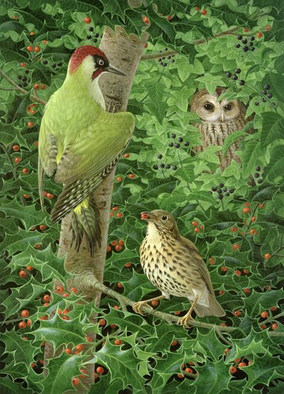 キツツキ、フクロウ、ツグミ（紙にガッシュ 作： Birgitte Hendil