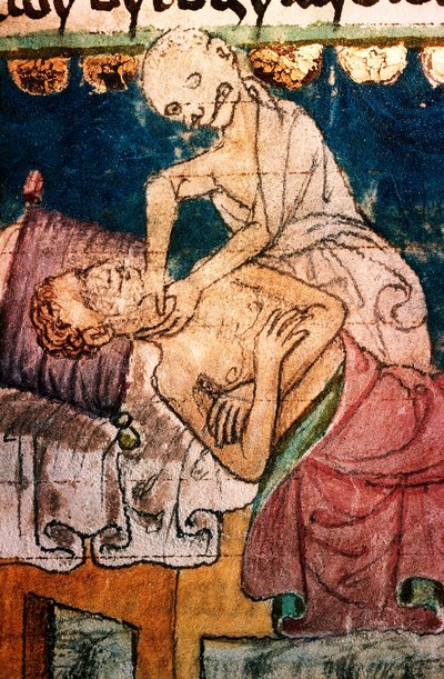a mort etranglant un pestifere - Death Strangling a Victim of the Plague - Miniature extraite du codex Stini, Boheme 作： Bohemian School