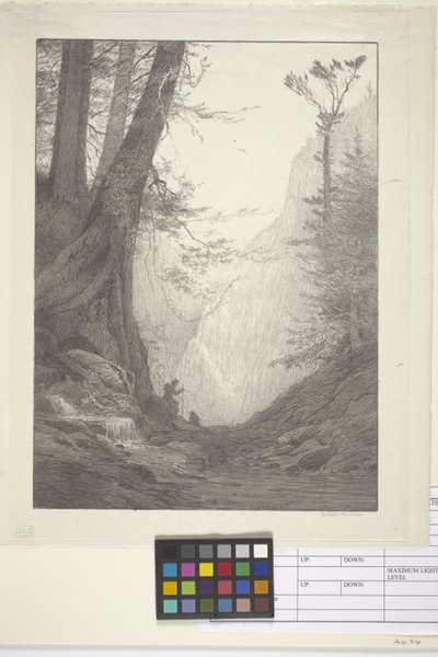 Big Cedars (紙にインク、リトグラフ) 作： Bolton Coit Brown