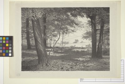 Edge Of The Woods (紙にインク) 作： Bolton Coit Brown