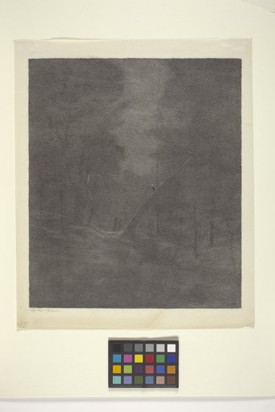 Moonlight Woods (ink on paper)   1449986   ja       japanese Successfully Translated  Original: Lowest Life in London... Translat: Lowest 
