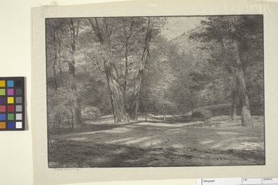 Sierra Woods (muste paperille) 作： Bolton Coit Brown