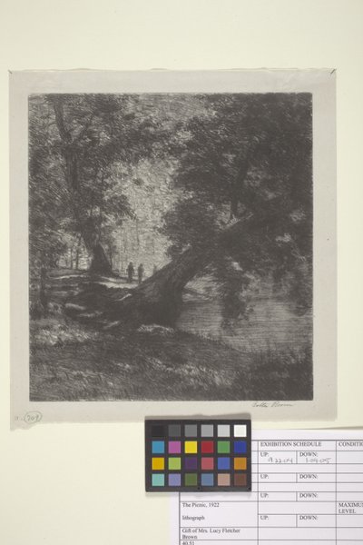 Piknik (muste paperille) 作： Bolton Coit Brown