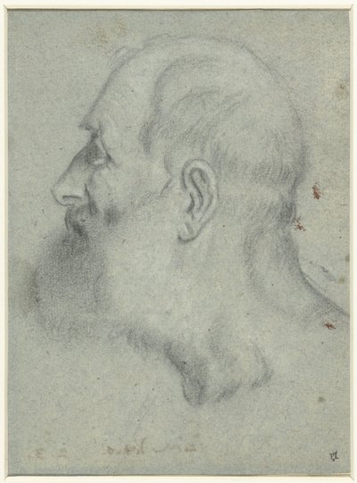 ひげを生やした男の頭、左側の横顔 作： Bonifazio Veronese (attributed to)