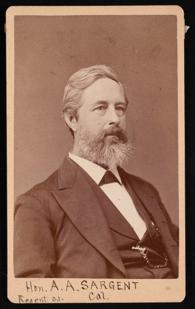 アーロン・オーガスタス・サージェントの肖像、1827～1887年、1881年以前。 作： Brady