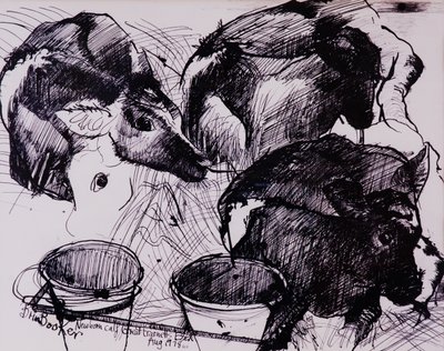 子牛、湿った、新生児、1978 作： Brenda Brin Booker