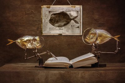  作： Brig Barkow