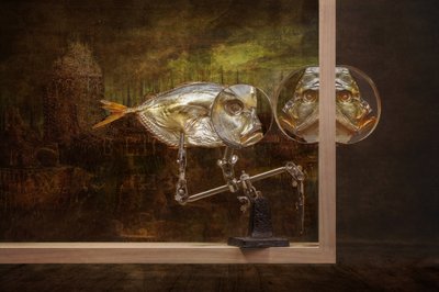  作： Brig Barkow