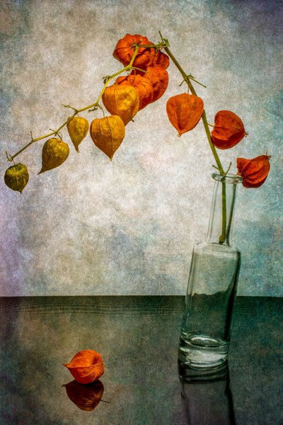  作： Brig Barkow