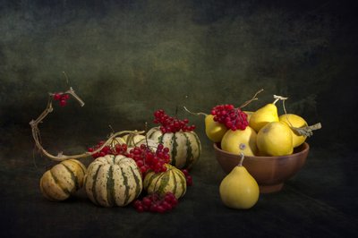  作： Brig Barkow