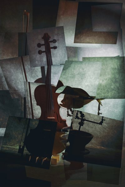  作： Brig Barkow