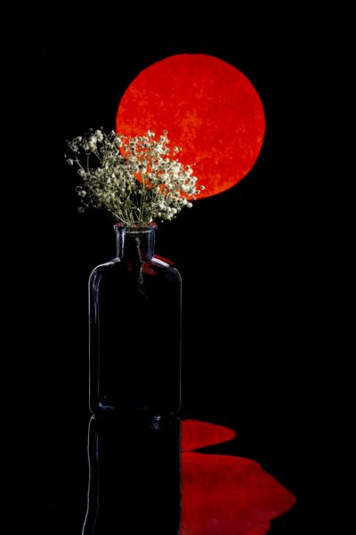 赤い太陽の花の反射 作： 