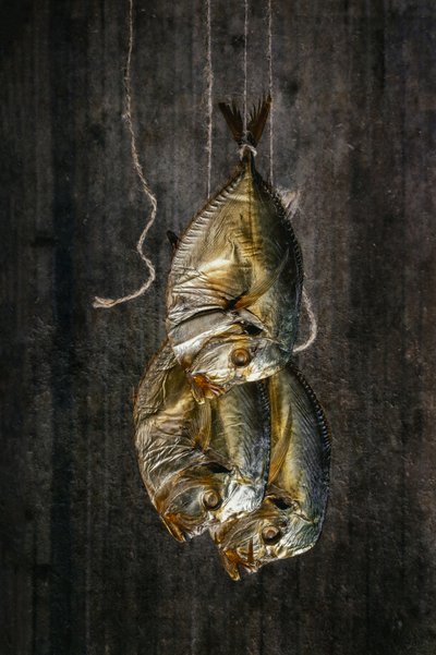  作： Brig Barkow