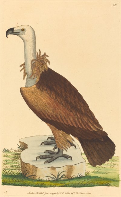アルプスのハゲワシ 作： British 18th Century