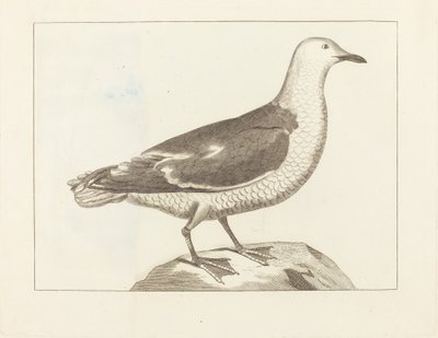 水鳥 作： British 19th Century