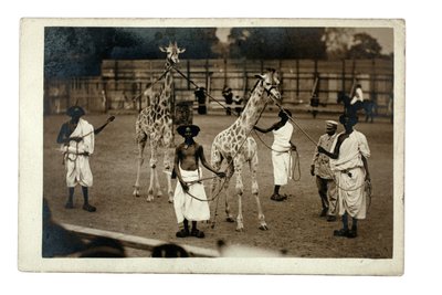 キリンとソマリ人（1905年頃）（ゼラチン・シルバー・プリント 作： British Photographer