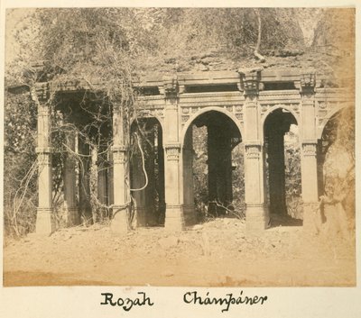 ロザ、シャンパナー、1875年頃（白黒写真） 作： British Photographer
