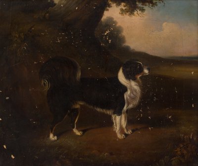 犬の肖像（キャンバスに油彩） 作： British School