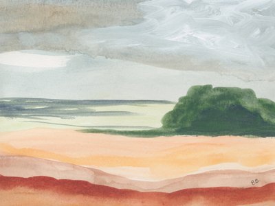  作： Bronwyn Baker