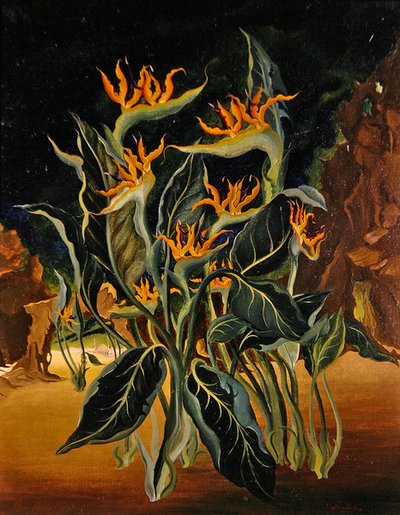 奇妙な花（キャンバスに油彩） 作： Bruce Hollingsworth