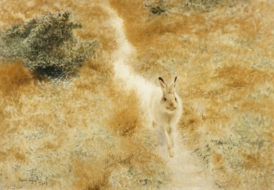 風景の中の冬のノウサギ 作： Bruno Andreas Liljefors
