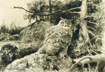 ワシミミズク（ワシミミズク）Bubo Bubo 作： Bruno Andreas Liljefors