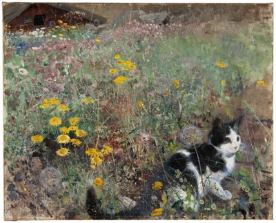 花の咲く草原の猫、1887 作： Bruno Andreas Liljefors