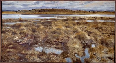Curlews 湿地の鳥。 Bruno Andreas Liljefors (1860-1939) による絵画 1913 日。 1,19x2,2メートル 作： Bruno Andreas Liljefors