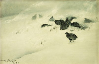 吹雪の中のライチョウ 作： Bruno Andreas Liljefors