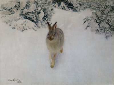 冬のうさぎ 作： Bruno Andreas Liljefors