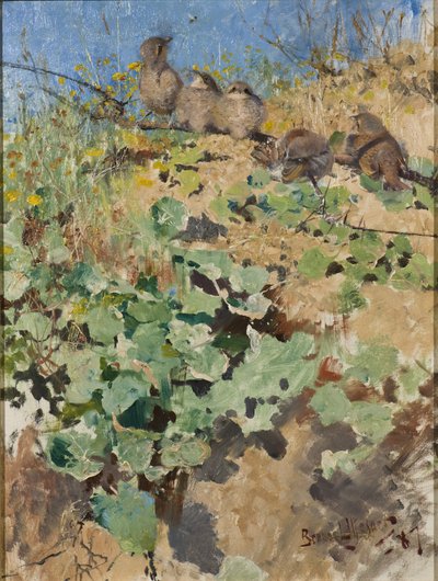赤で裏打ちされたモズの雛、1887年 作： Bruno Andreas Liljefors