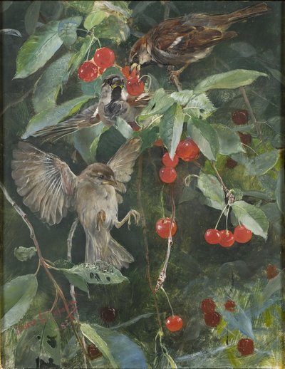 桜のスズメ、1885 作： Bruno Andreas Liljefors
