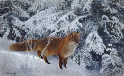 冬のキツネ 作： Bruno Andreas Liljefors