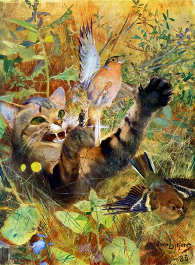 猫とチャットフィンチ、1885年1945年。 作： Bruno Andreas Liljefors