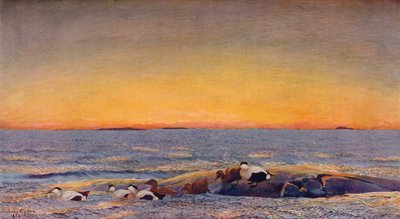 日の出、1896 作： Bruno Andreas Liljefors
