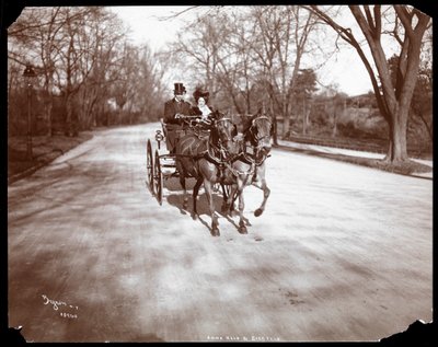 アンナヘルドとフローレンツジーグフェルドが1904年にニューヨークの馬車を運転（銀ゼラチンプリント） 作： Byron Company