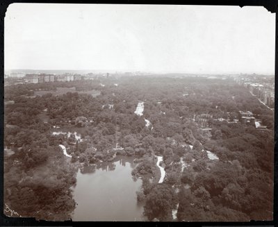 プラザホテル、5番街と59番街、ニューヨークからのセントラルパークの眺め、1907年頃（銀ゼラチンプリント） 作： Byron Company