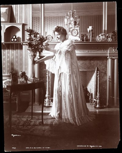 バージニア・ハーン（EHサザン夫人、1st）1902（シルバーゼラチンプリント） 作： Byron Company